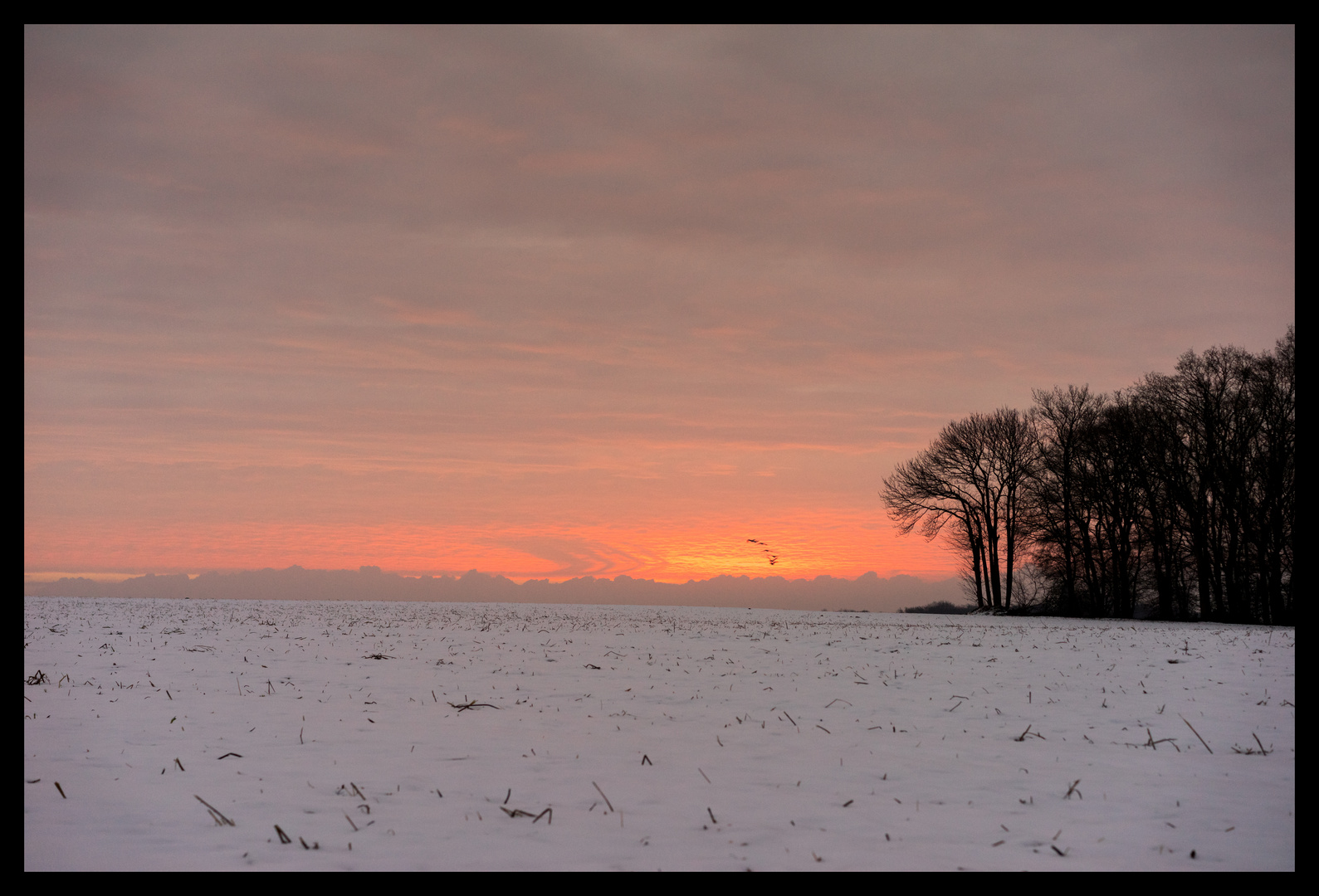 Winterlandschaft bei Xanten