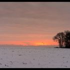 Winterlandschaft bei Xanten