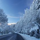 Winterlandschaft beim Arber