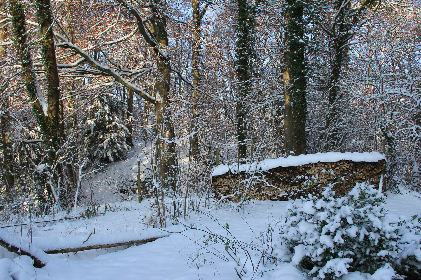 Winterlandschaft beim Burghof-Wallhausen am Bodensee