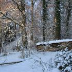 Winterlandschaft beim Burghof-Wallhausen am Bodensee