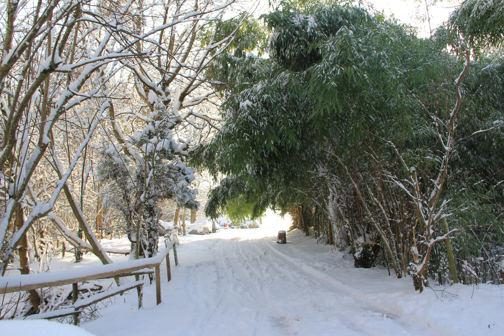 Winterlandschaft beim Burghof-Wallhausen am Bodensee