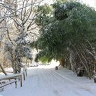 Winterlandschaft beim Burghof-Wallhausen am Bodensee