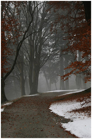 Winterlandschaft beim Schloss Amrass