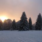 Winterlandschaft beim Sonnenuntergang