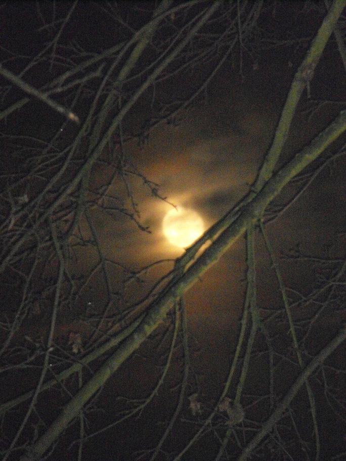 Winterlandschaft beim Spaziergang