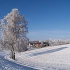 Winterlandschaft