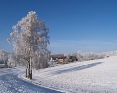 Winterlandschaft