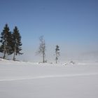 Winterlandschaft