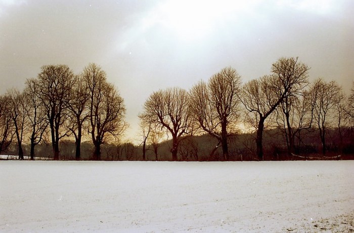 Winterlandschaft