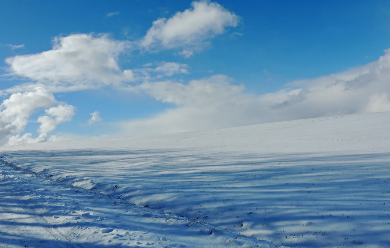 winterlandschaft 