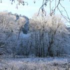 Winterlandschaft