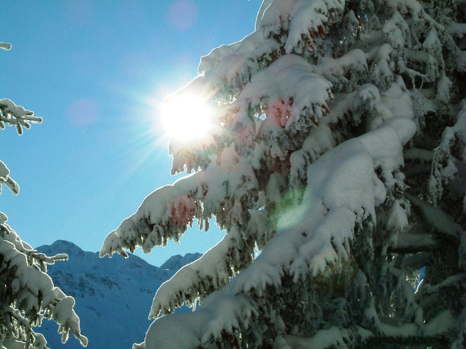 Winterlandschaft Brambrüesch (CH)