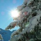 Winterlandschaft Brambrüesch (CH)