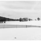 Winterlandschaft BW