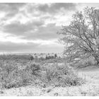 Winterlandschaft bw 