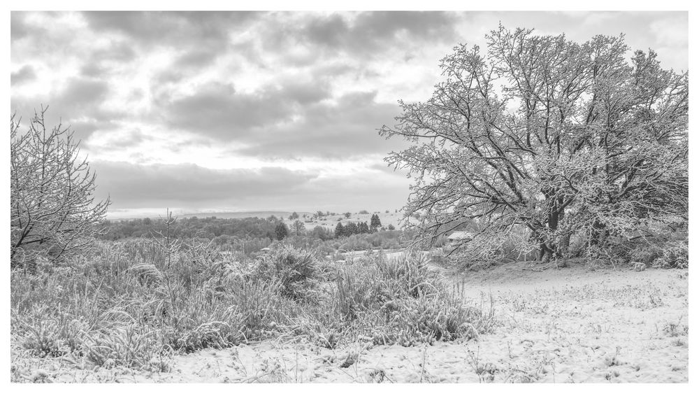 Winterlandschaft bw 