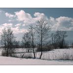 winterlandschaft ...