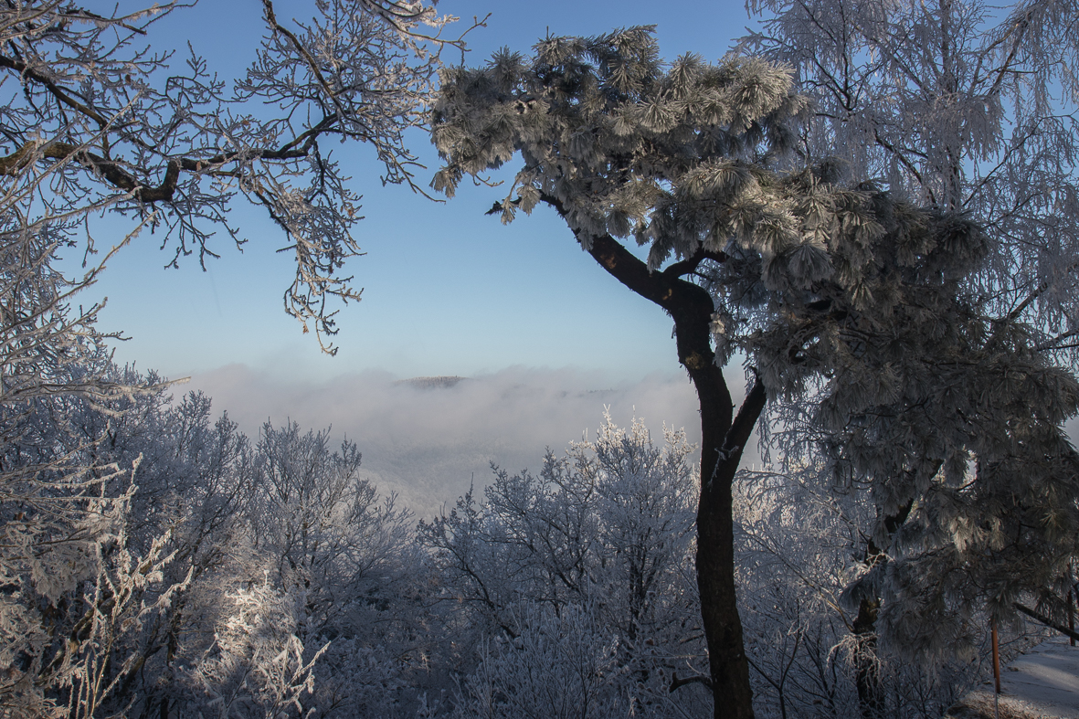 Winterlandschaft