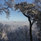 Winterlandschaft