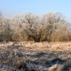 winterlandschaft