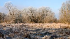 winterlandschaft