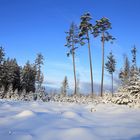 Winterlandschaft