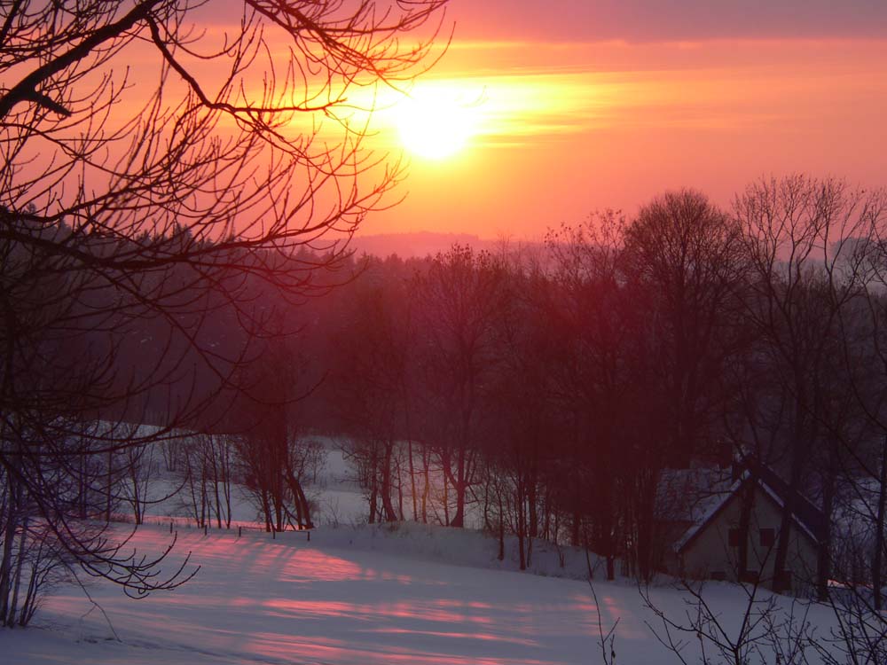 Winterlandschaft