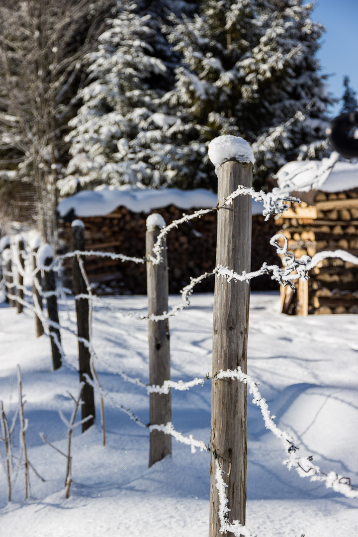 Winterlandschaft