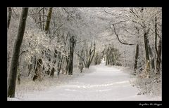 Winterlandschaft