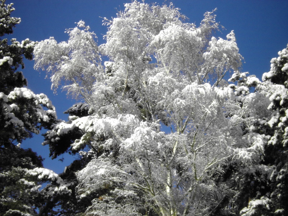 Winterlandschaft