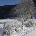 Winterlandschaft