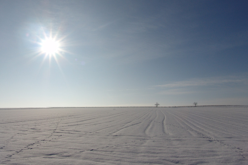 Winterlandschaft