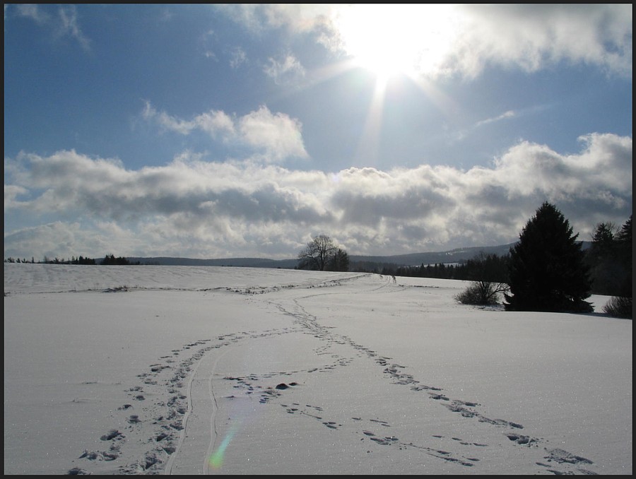 Winterlandschaft