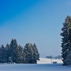 Winterlandschaft