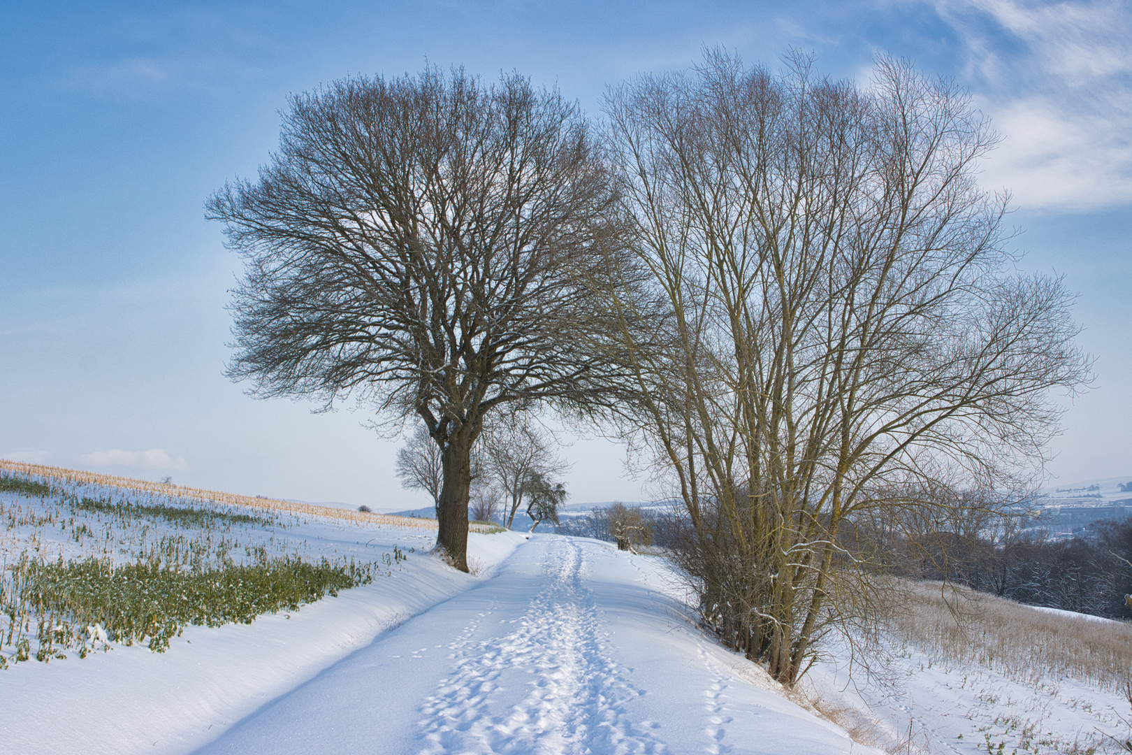 Winterlandschaft