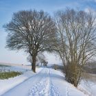 Winterlandschaft