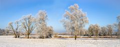 winterlandschaft