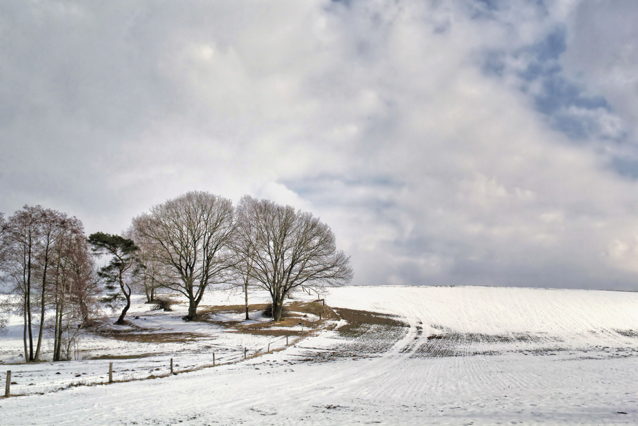 Winterlandschaft