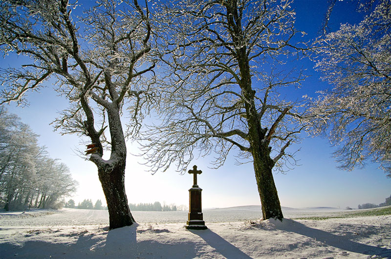 Winterlandschaft