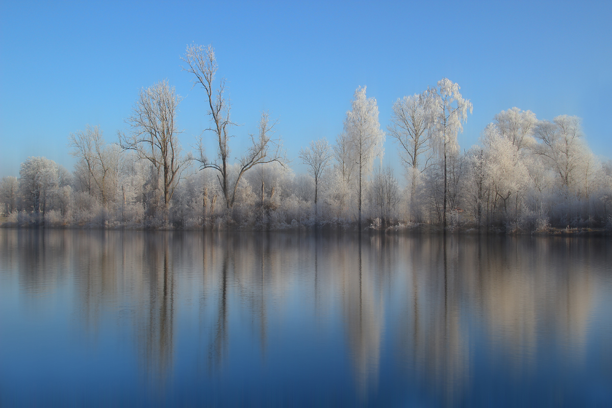 Winterlandschaft