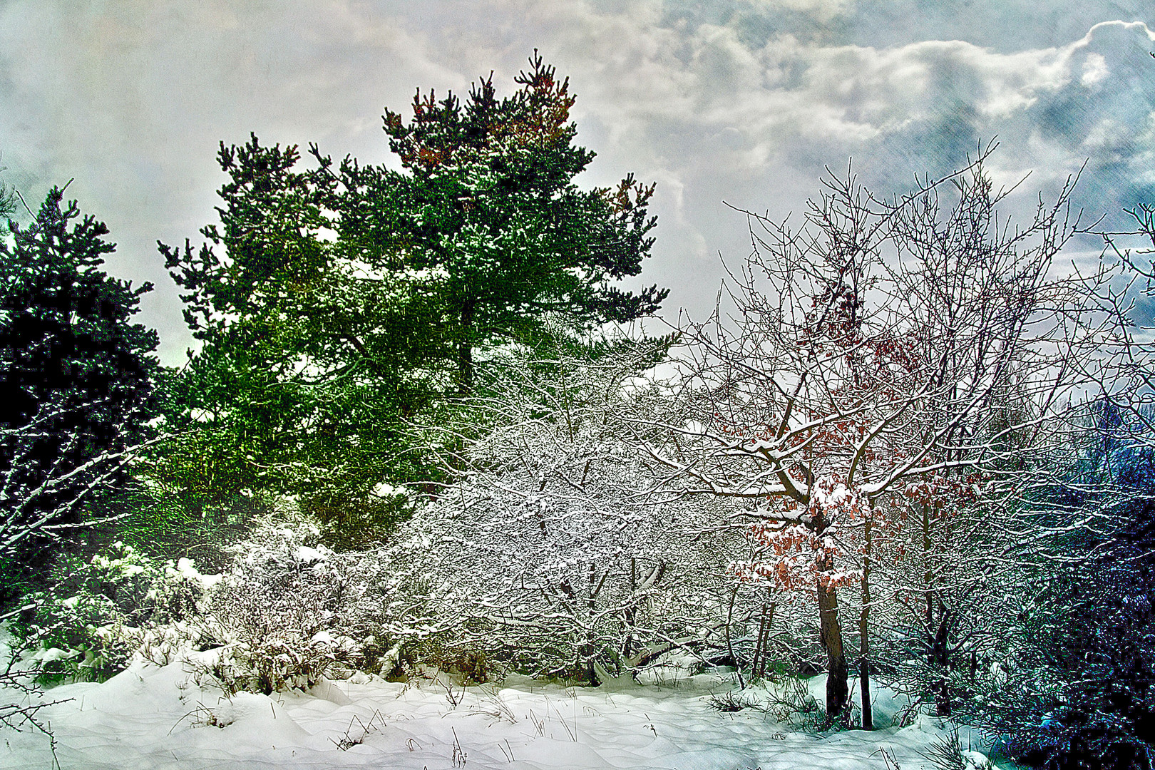 Winterlandschaft