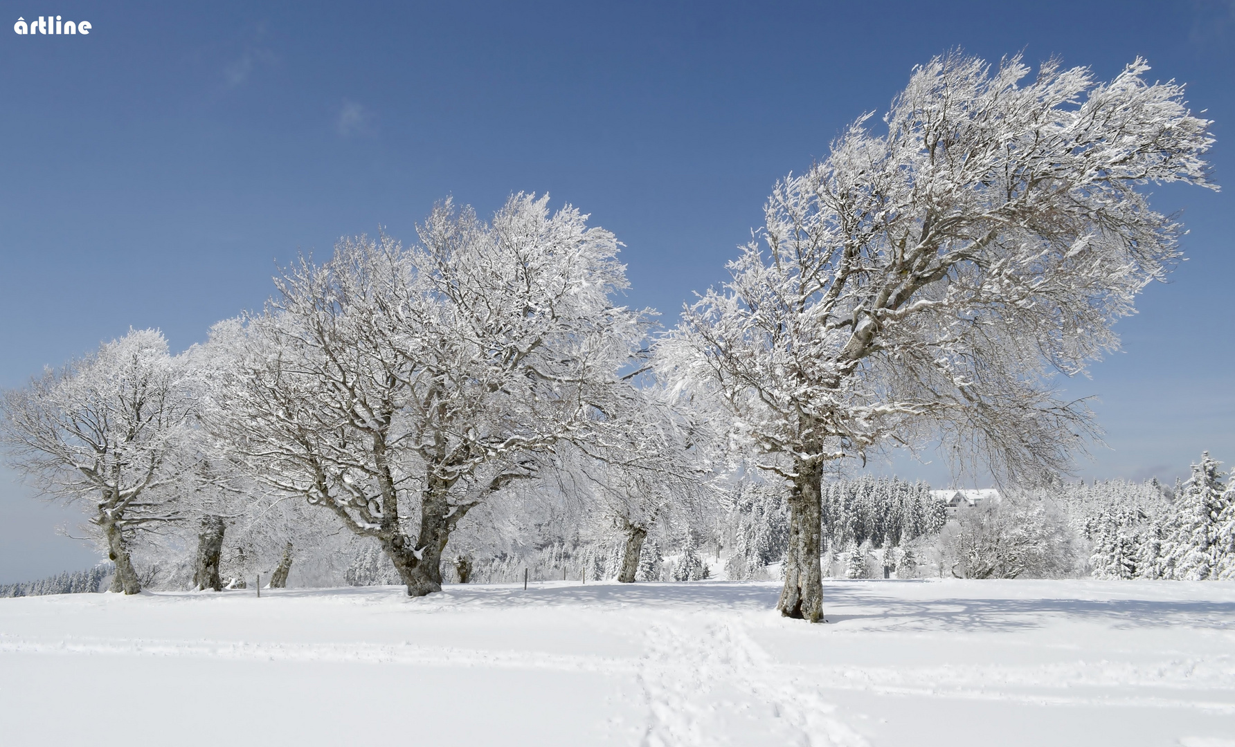 Winterlandschaft