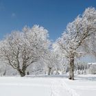 Winterlandschaft