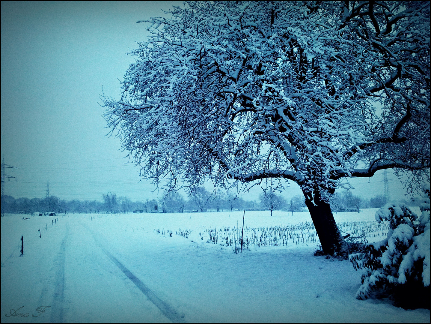 Winterlandschaft