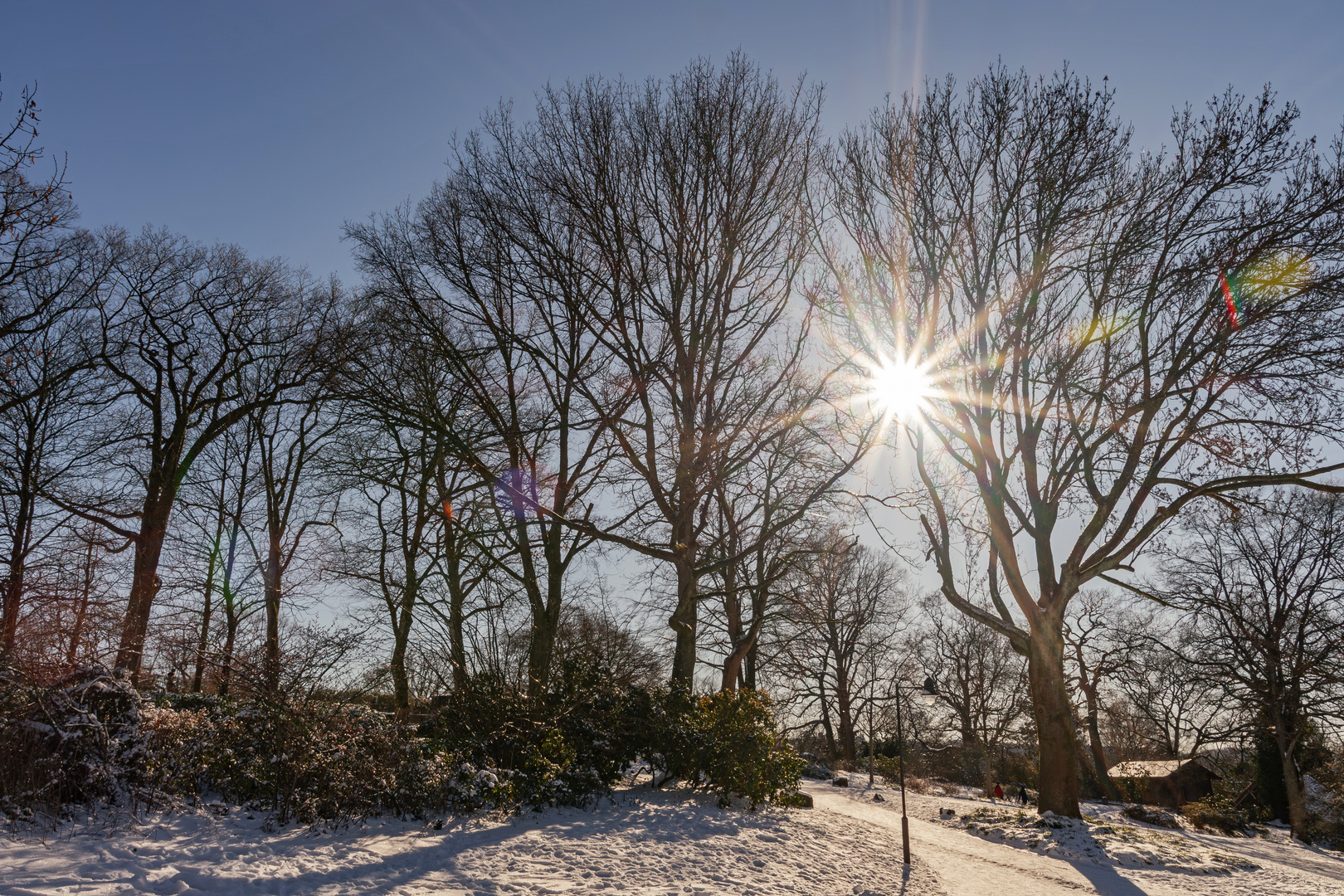 Winterlandschaft