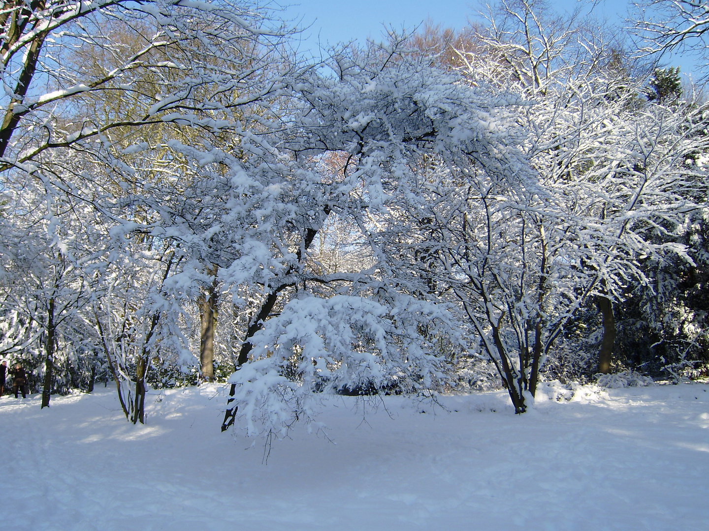 Winterlandschaft