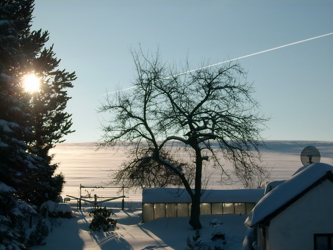 WINTERLANDSCHAFT