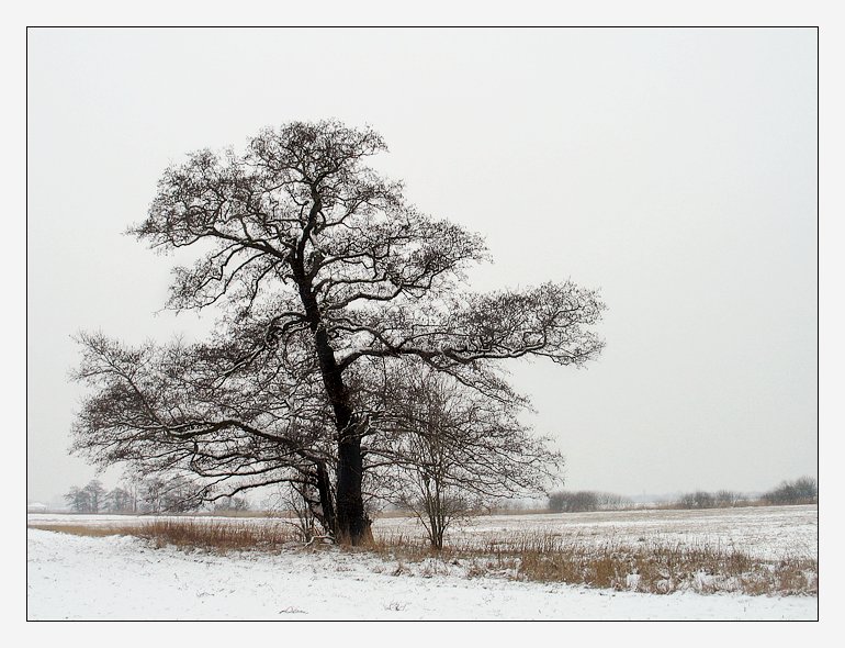 Winterlandschaft