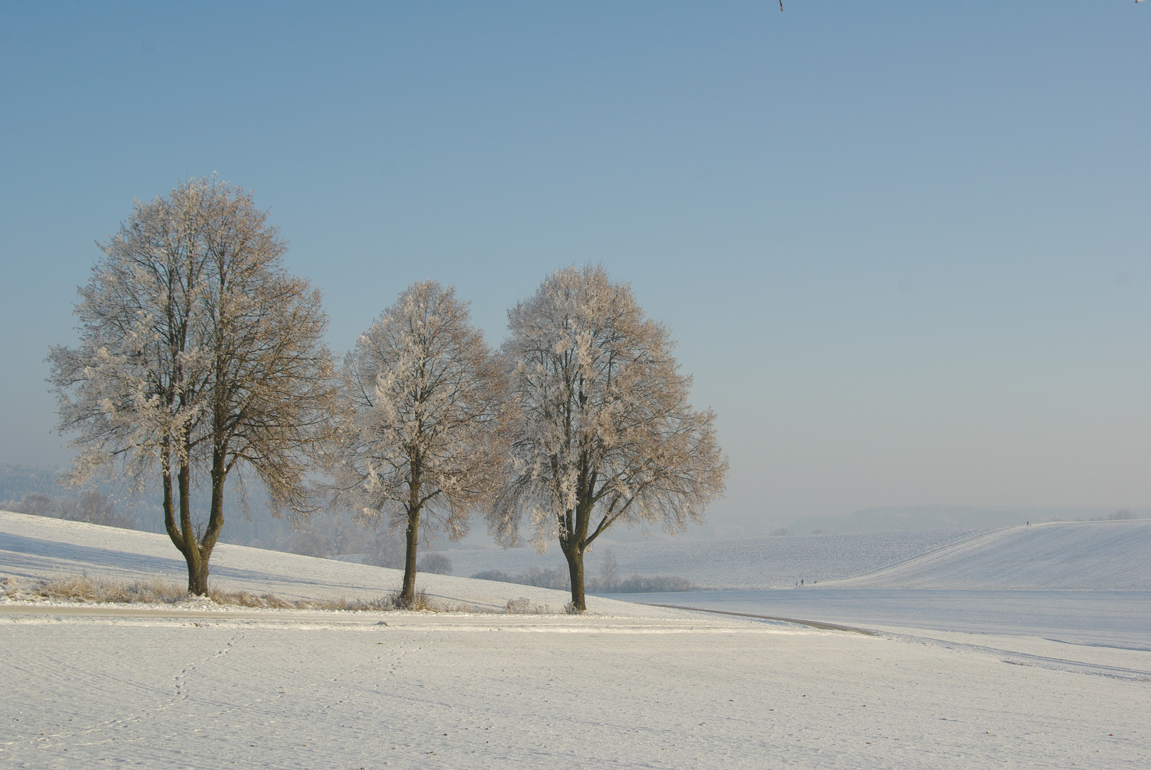 Winterlandschaft